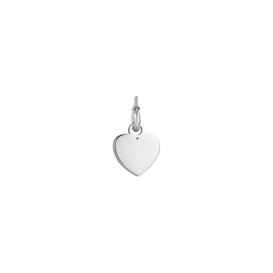 ENCANTO DEL CORAZÓN DE ACERO