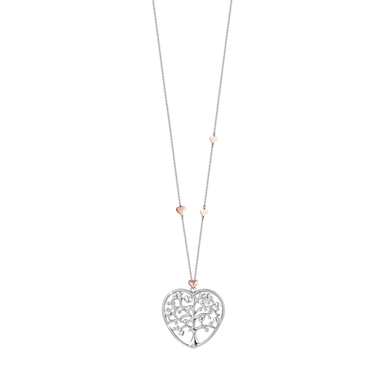 COLLAR DE ACERO CON UN GRAN CORAZÓN