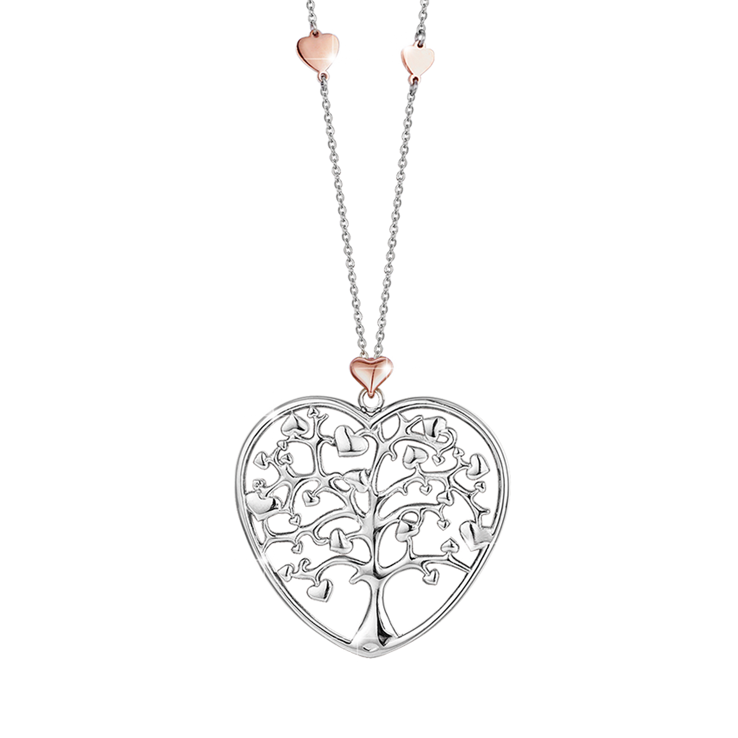 COLLAR DE ACERO CON UN GRAN CORAZÓN