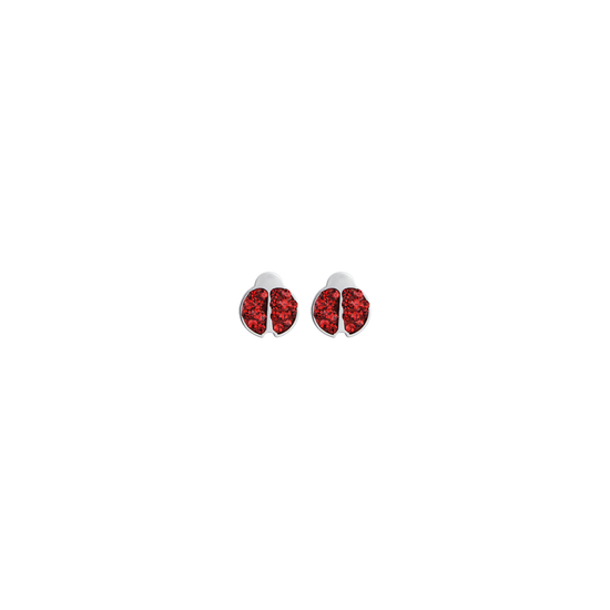 PENDIENTES DE NIÑA DE ACERO CON MARIQUITA Y CRISTALES ROJOS