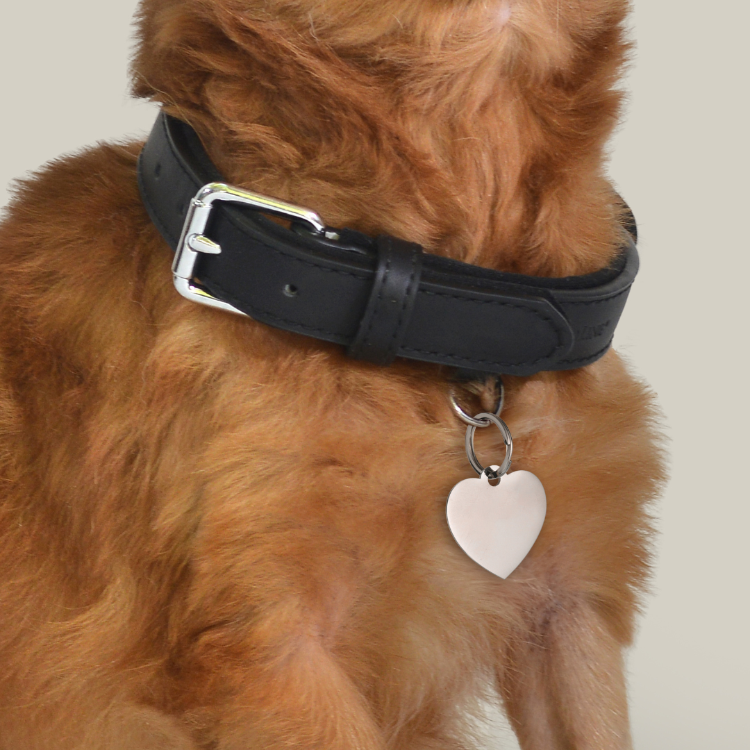 PLACA DE CORAZÓN PERSONALIZABLE PARA PERRO Y GATO