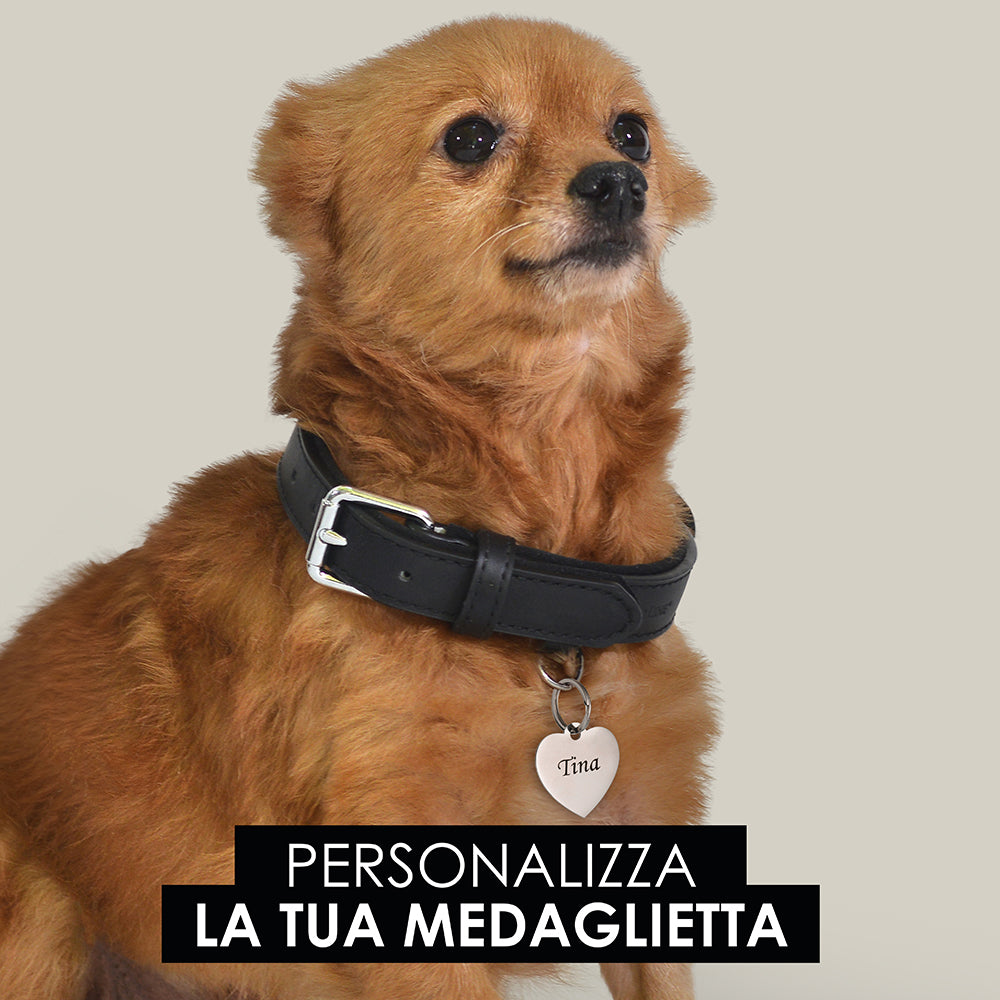 PLACA DE CORAZÓN PERSONALIZABLE PARA PERRO Y GATO