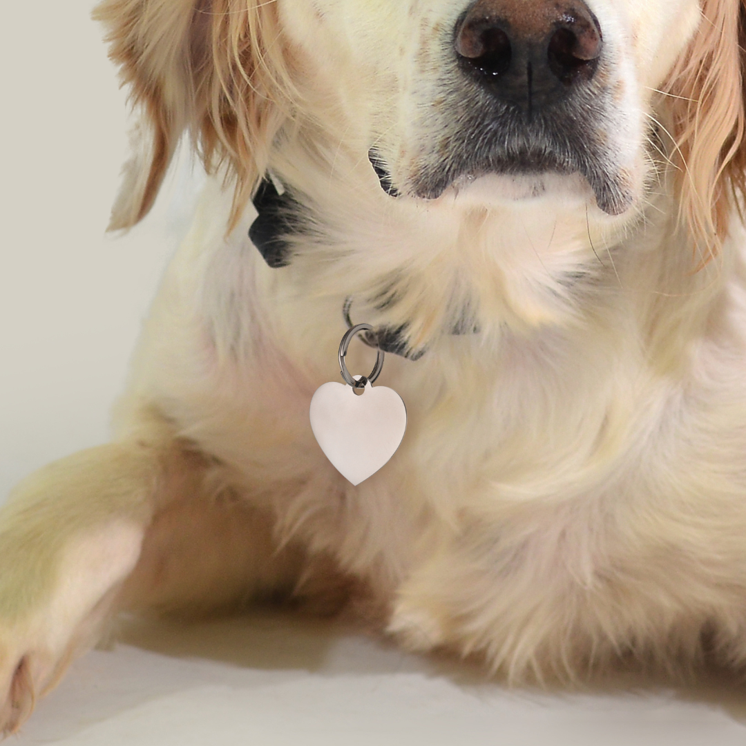 PLACA DE CORAZÓN PERSONALIZABLE PARA PERRO Y GATO