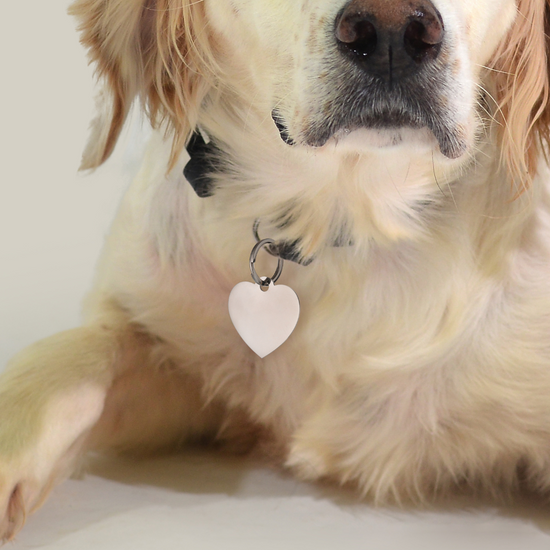 PLACA DE CORAZÓN PERSONALIZABLE PARA PERRO Y GATO