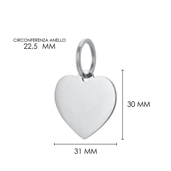 PLACA DE CORAZÓN PERSONALIZABLE PARA PERRO Y GATO