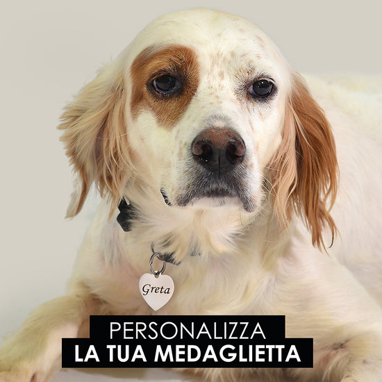 PLACA DE CORAZÓN PERSONALIZABLE PARA PERRO Y GATO