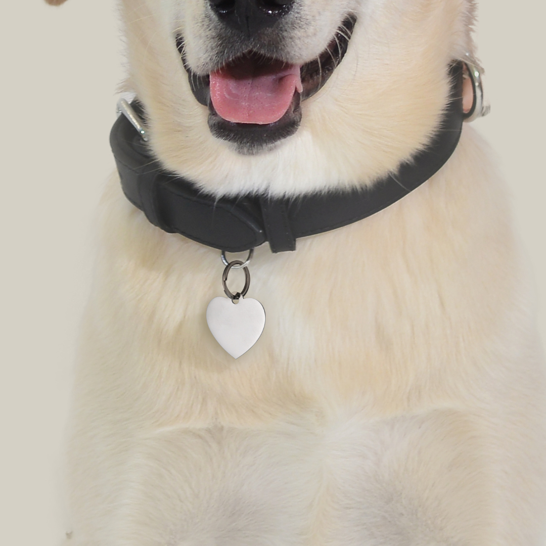 PLACA DE CORAZÓN PERSONALIZABLE PARA PERRO Y GATO