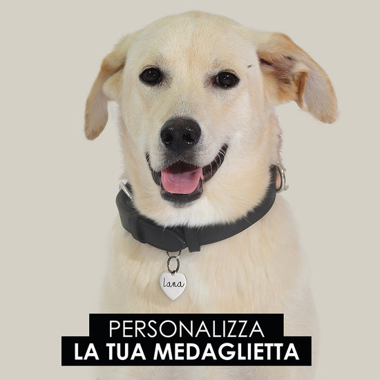 PLACA DE CORAZÓN PERSONALIZABLE PARA PERRO Y GATO