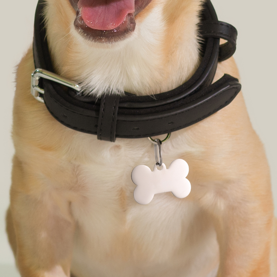 PLACA PERSONALIZABLE DE HUESO DE PERRO Y GATO