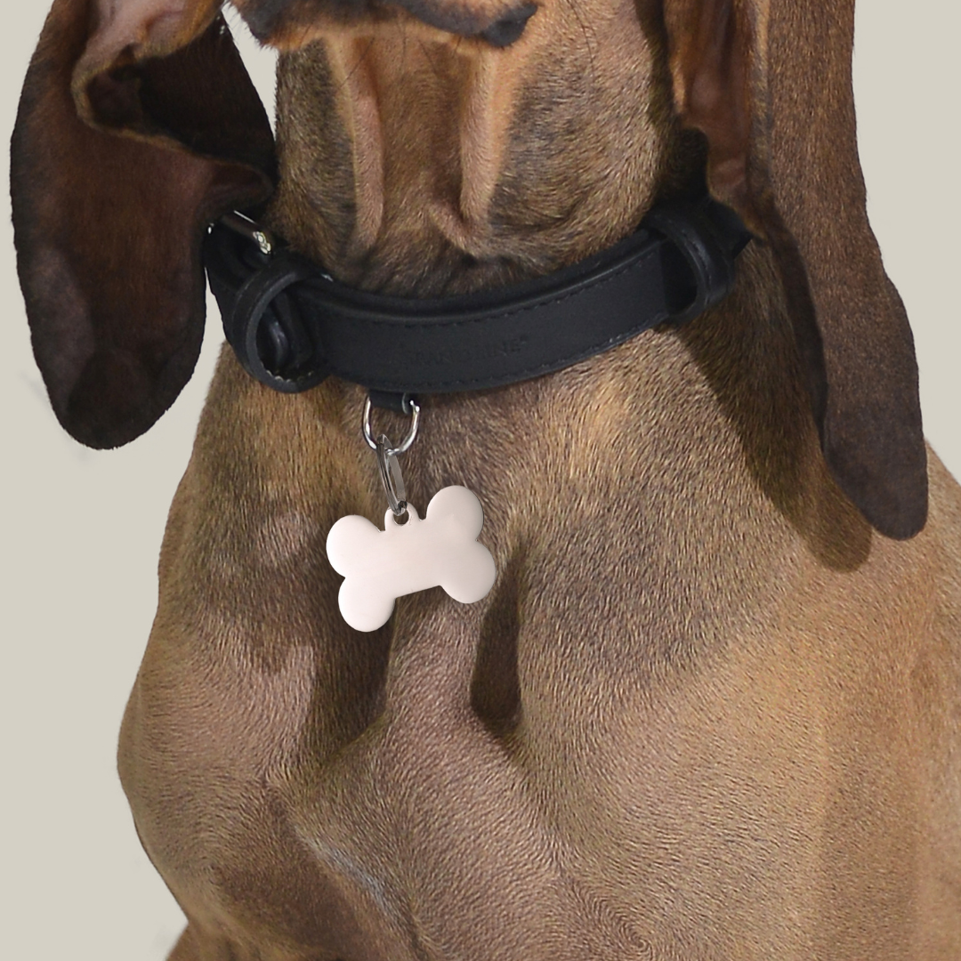 PLACA PERSONALIZABLE DE HUESO DE PERRO Y GATO