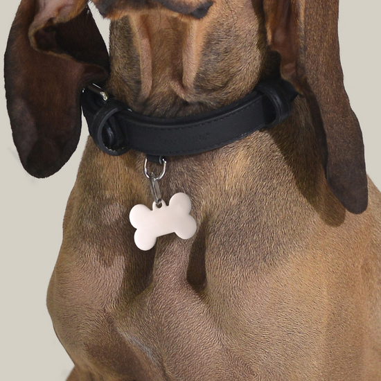 PLACA PERSONALIZABLE DE HUESO DE PERRO Y GATO