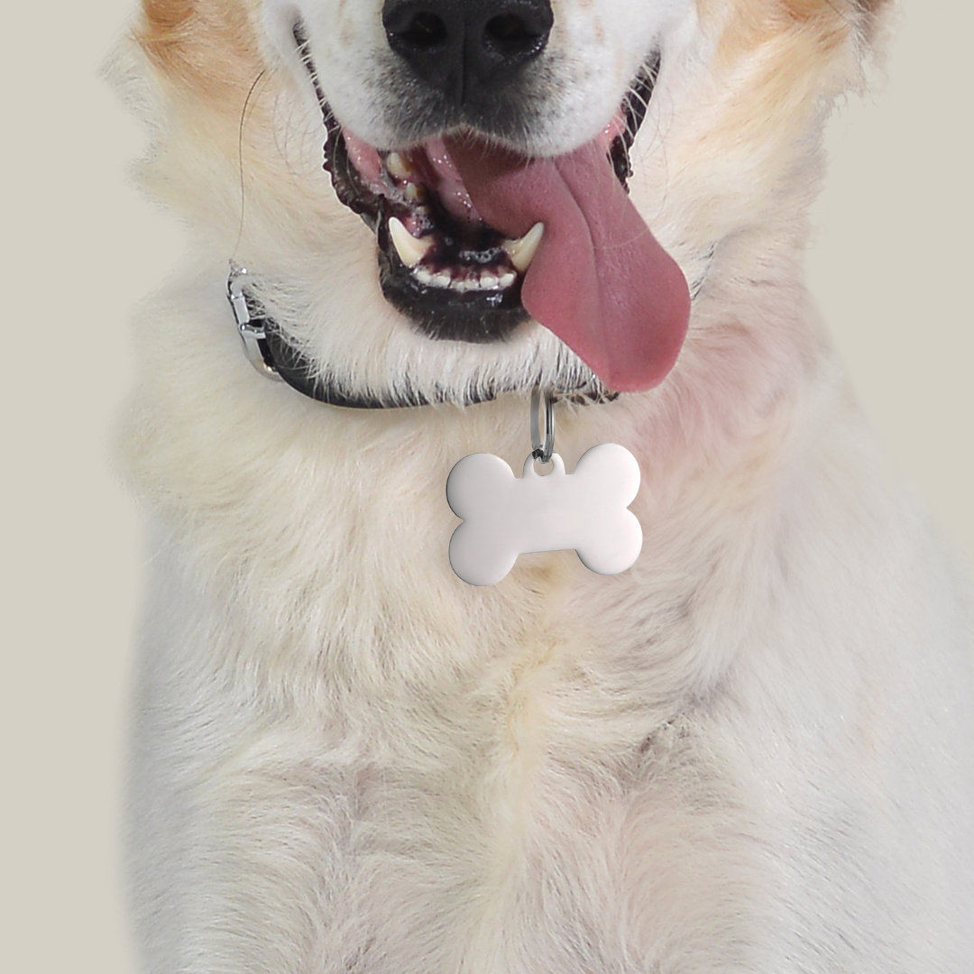 PLACA PERSONALIZABLE DE HUESO DE PERRO Y GATO