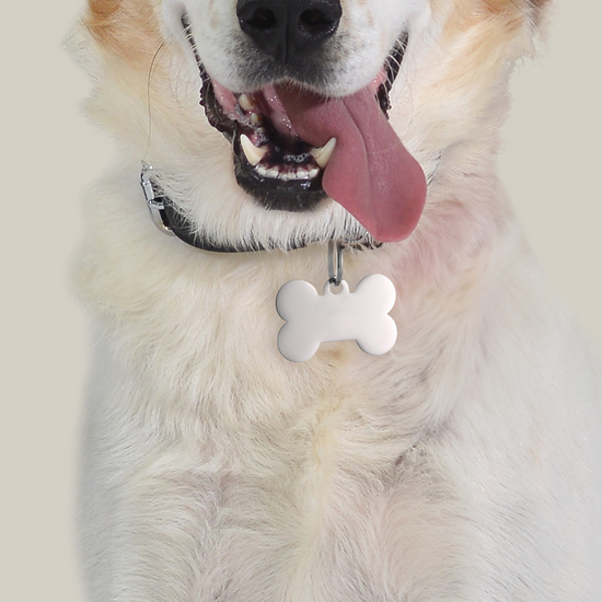 PLACA PERSONALIZABLE DE HUESO DE PERRO Y GATO