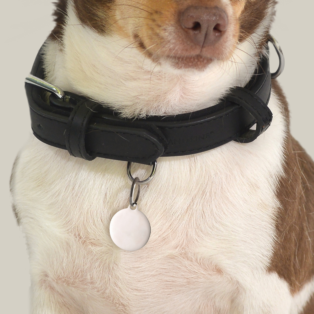 CHAPA CIRCULAR PERSONALIZABLE PARA PERROS Y GATOS