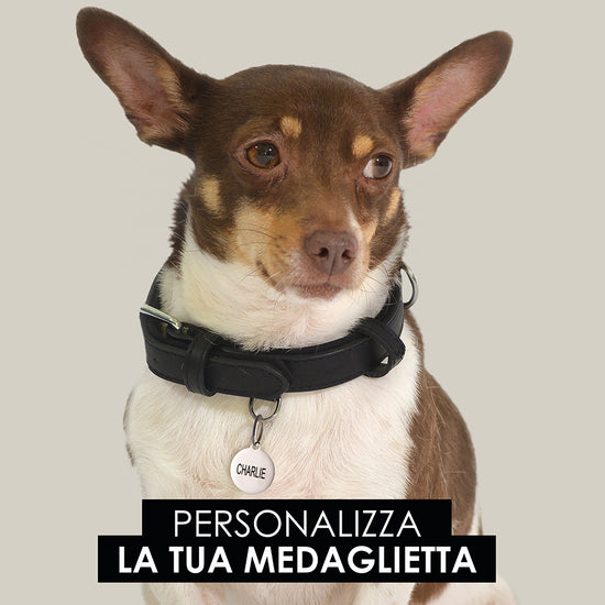 CHAPA CIRCULAR PERSONALIZABLE PARA PERROS Y GATOS
