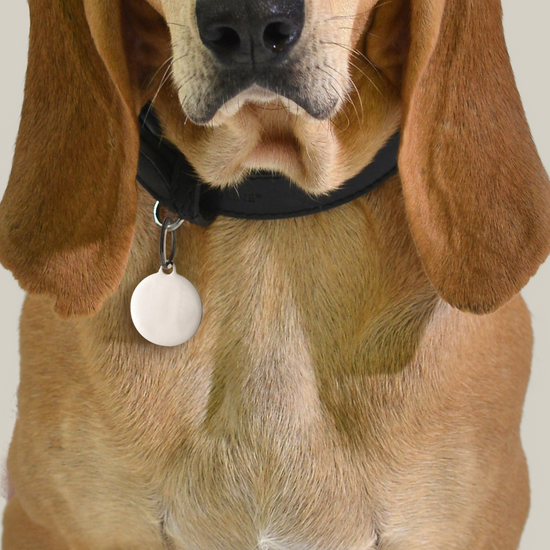 CHAPA CIRCULAR PERSONALIZABLE PARA PERROS Y GATOS