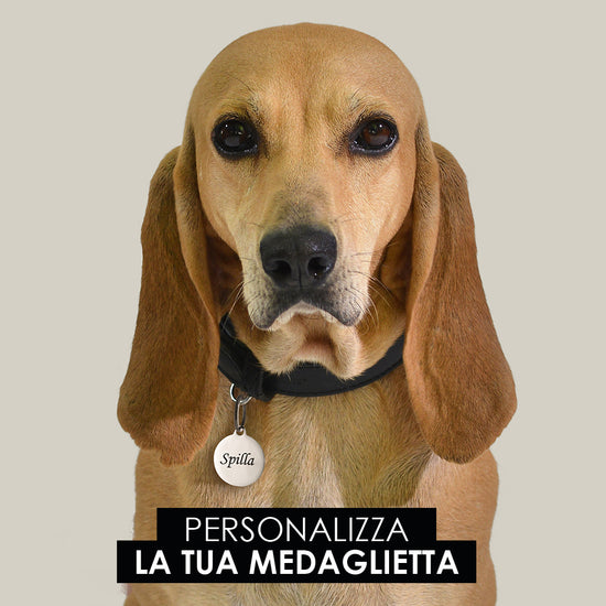 CHAPA CIRCULAR PERSONALIZABLE PARA PERROS Y GATOS