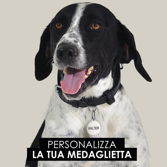 CHAPA CIRCULAR PERSONALIZABLE PARA PERROS Y GATOS
